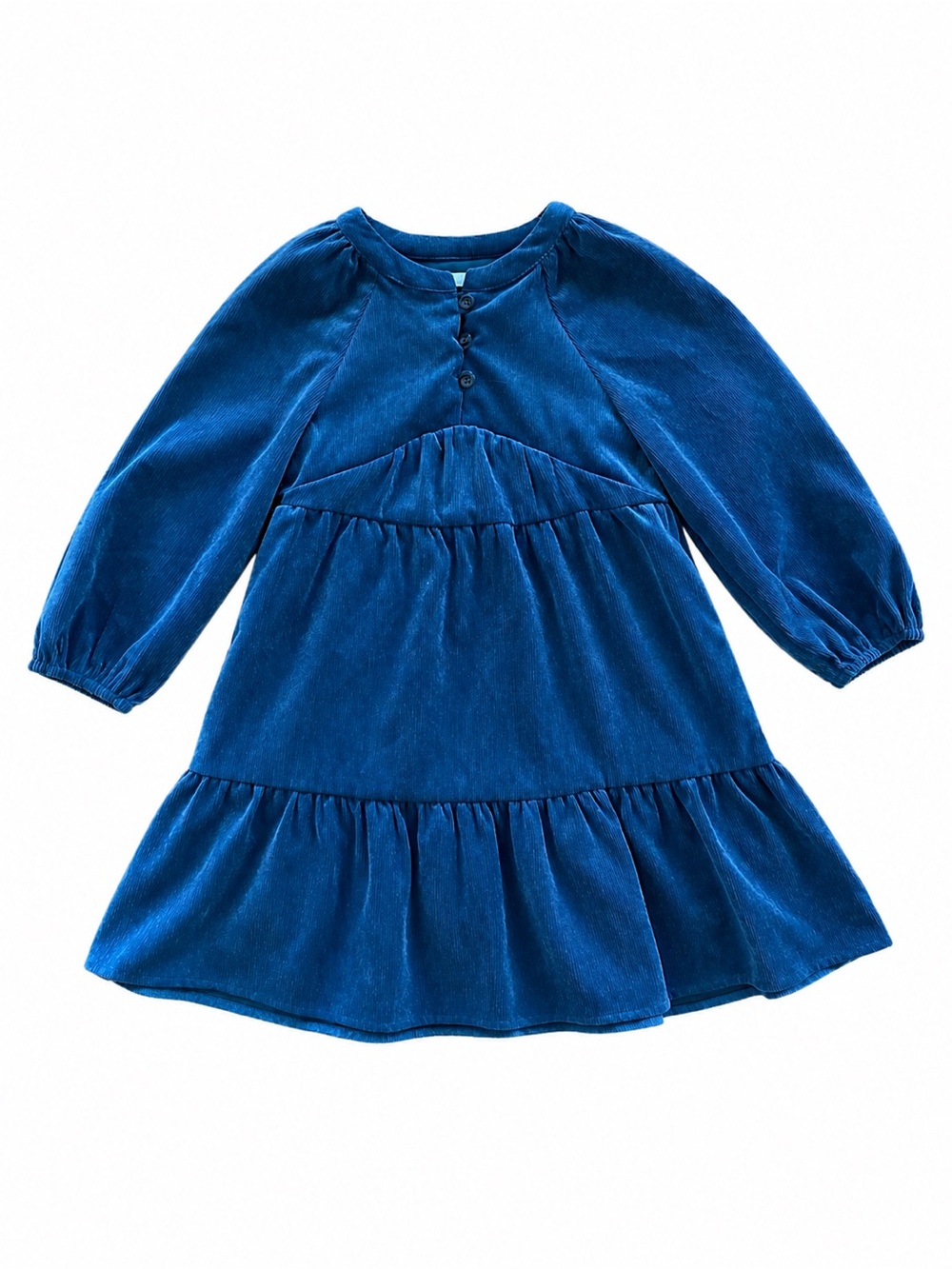 Zara Long Sleeve Velvet Blue Dress